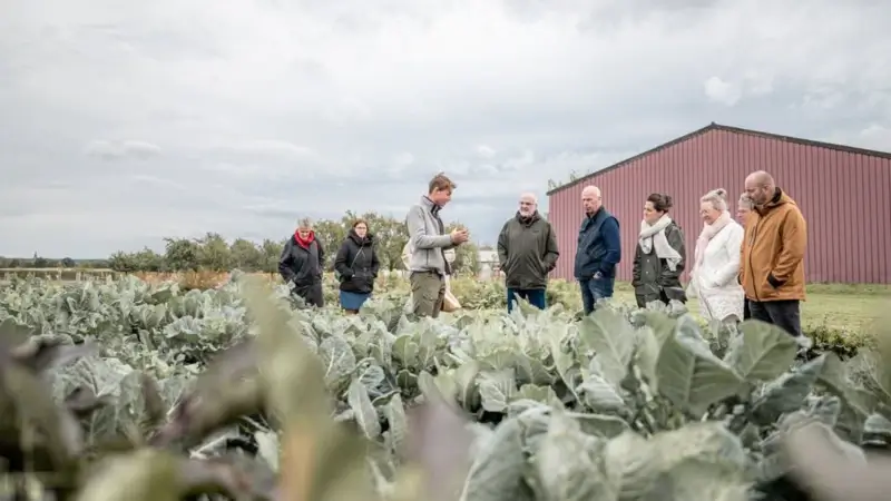 Hoofdafbeelding voor artikel Riemstse bioboer in Europese…