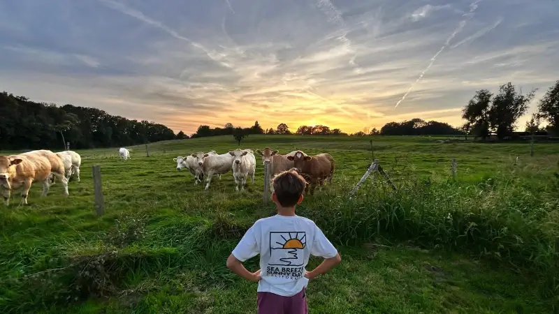 Hoofdafbeelding voor artikel Buurt verzet zich tegen KMO-zone…