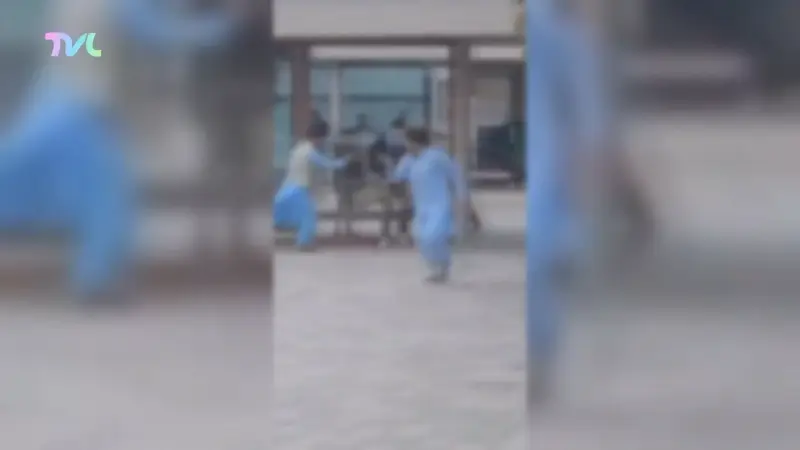 Hoofdafbeelding voor artikel Afghanen krijgen tot vier…