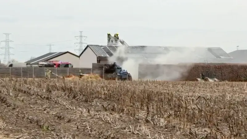 Hoofdafbeelding voor artikel Zeven paarden omgekomen bij…