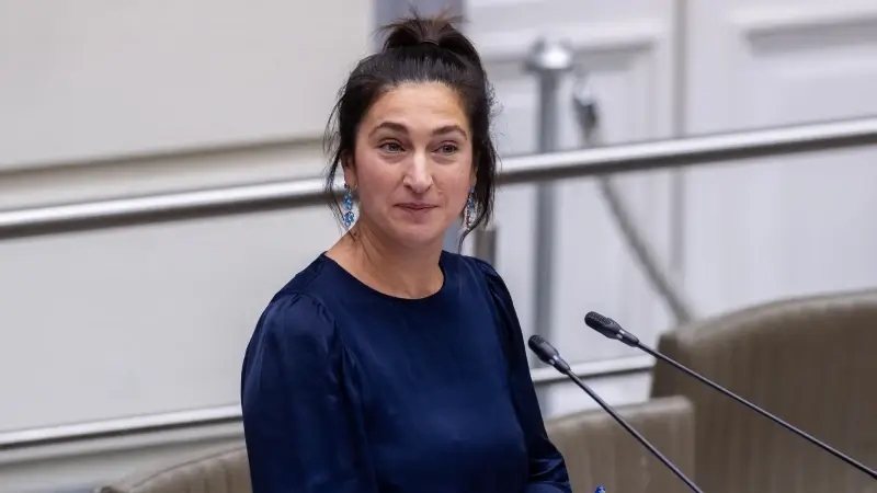 Hoofdafbeelding voor artikel Demir en Gennez willen kunst…