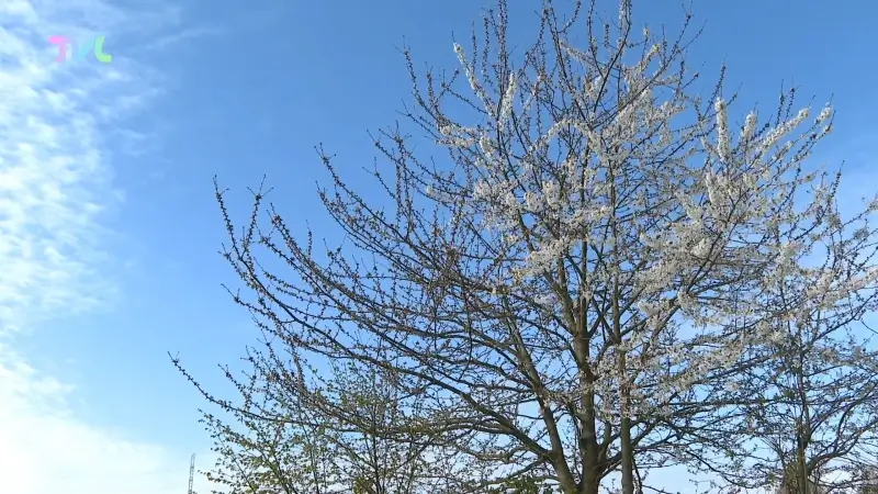 Hoofdafbeelding voor artikel Paasvakantie begint zonnig…