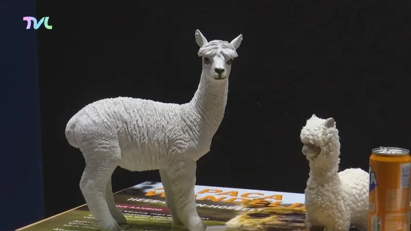 Hoofdafbeelding voor artikel Lummen neemt toerisme Schulensmeer…