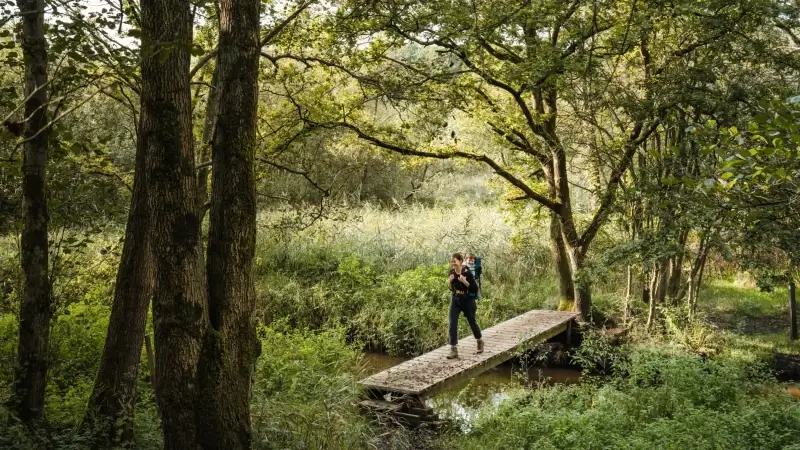 Hoofdafbeelding voor artikel Visit Peer gaat digitaal