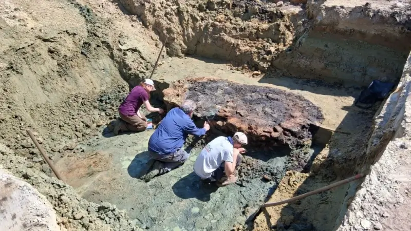 Hoofdafbeelding voor artikel Archeologisch onderzoek Kolmenveld…