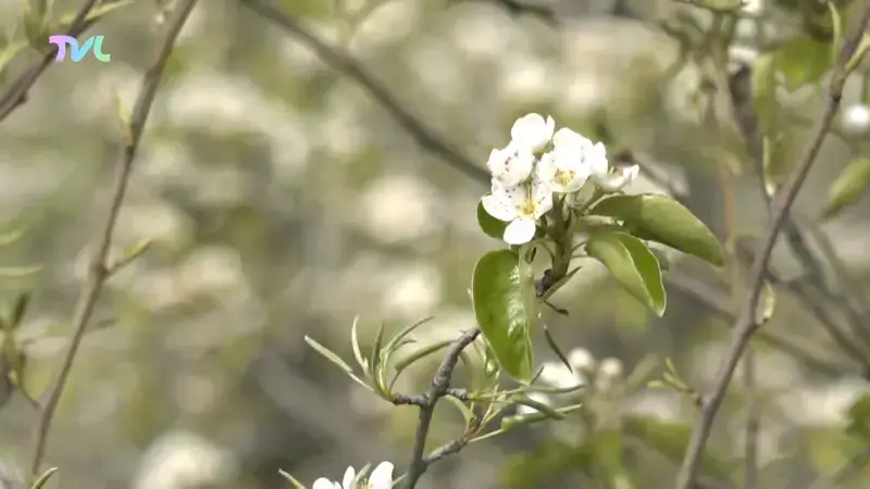 Hoofdafbeelding voor artikel Tongeren-Borgloon is klaar…