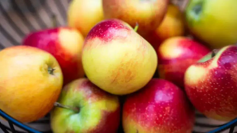 Hoofdafbeelding voor artikel Extra financiering voor gezonde…