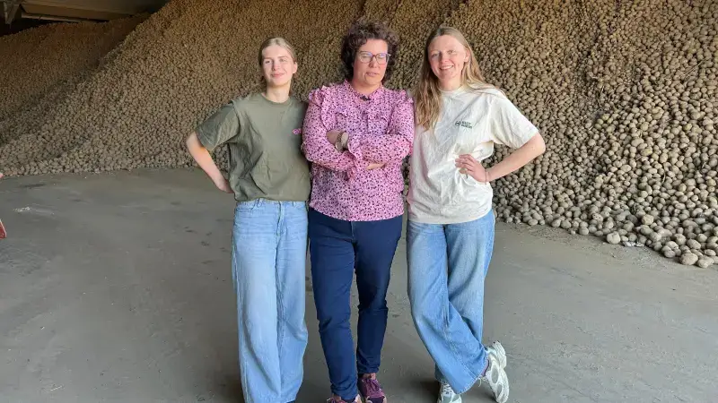 Burgemeester van Herstappe zit met miljoenen kilo's frietaardappelen die niemand wil