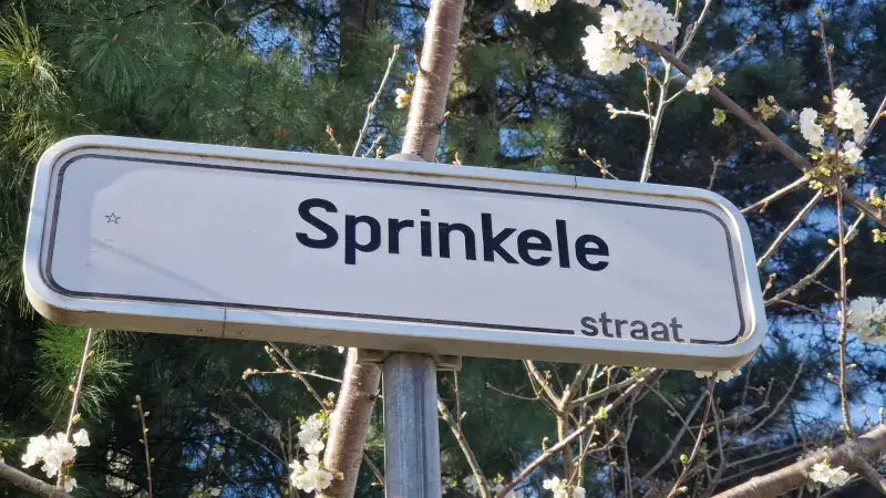 Hoofdafbeelding voor artikel Man naar gevangenis na poging…