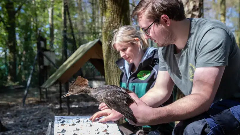 Hoofdafbeelding voor artikel 140 dieren in beslag genomen…