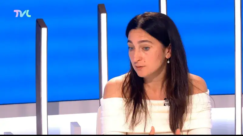 Hoofdafbeelding voor artikel Studiogesprek: Zuhal Demir…