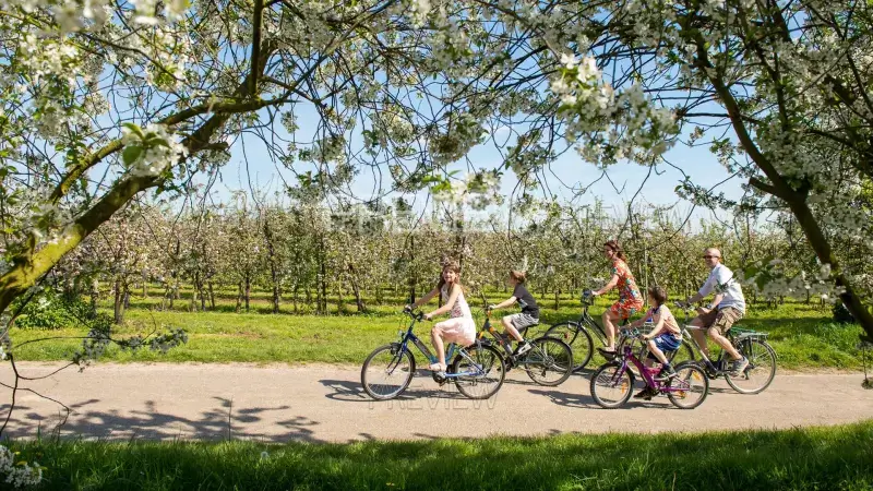 Hoofdafbeelding voor artikel 15 miljoen Braziliaanse kijkers…