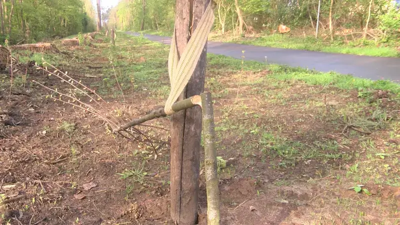 Hoofdafbeelding voor artikel Vandaal zaagt al voor tweede…