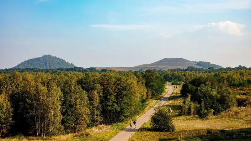 Hoofdafbeelding voor artikel Nationaal Park Hoge Kempen…