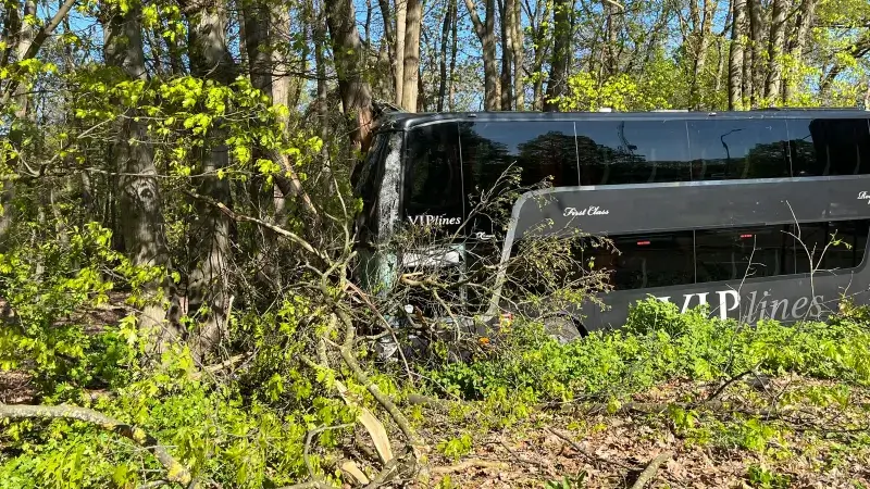 Hoofdafbeelding voor artikel Organisatiedirecteur Ann Roosen…