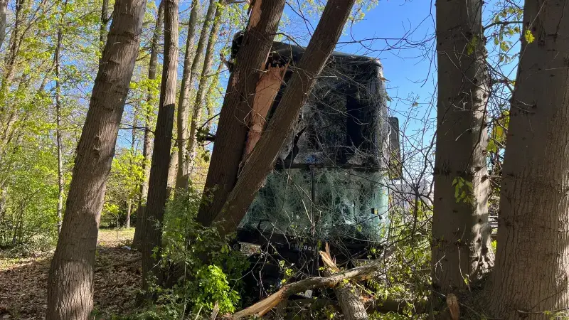 Hoofdafbeelding voor artikel Bus Peltse leerlingen onderweg…