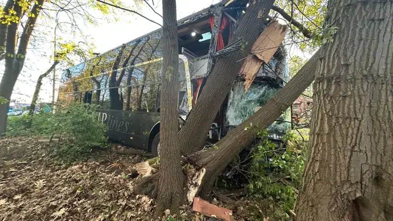 Hoofdafbeelding voor artikel Schoolbus met leerlingen uit…