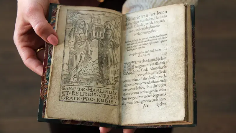 Hoofdafbeelding voor artikel Stad Maaseik koopt 1 van de…