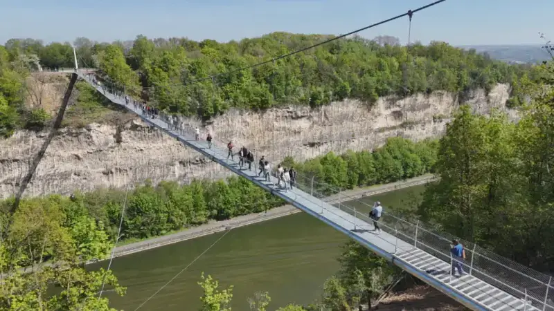 Toeristische attractie opent bij Riemst: nieuwe hangbrug 50 meter boven kanaal