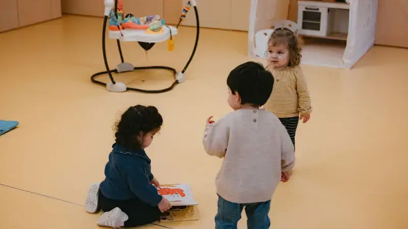 Hoofdafbeelding voor artikel Nieuw subsidiereglement voor…