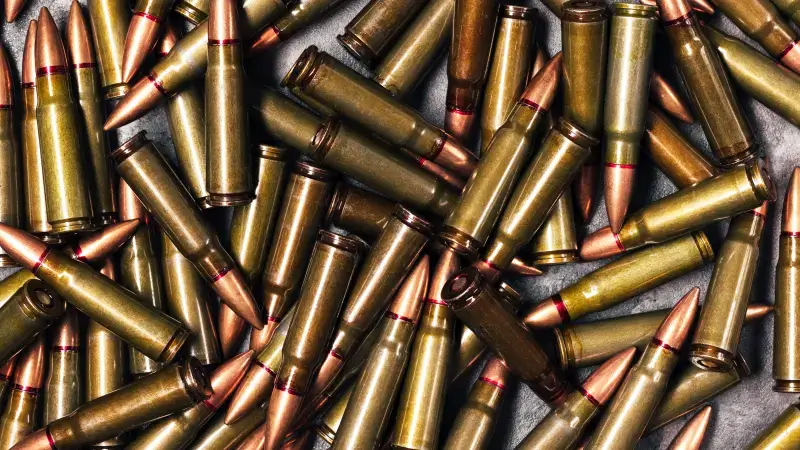 Hoofdafbeelding voor artikel Minister Brouns (cd&v) wil…