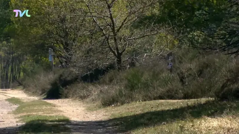 Hoofdafbeelding voor artikel Limburgse boswachters waakzaam…