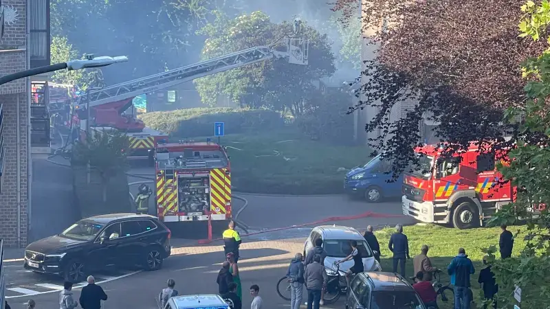 Hoofdafbeelding voor artikel Twee achtertuinen uitgebrand…