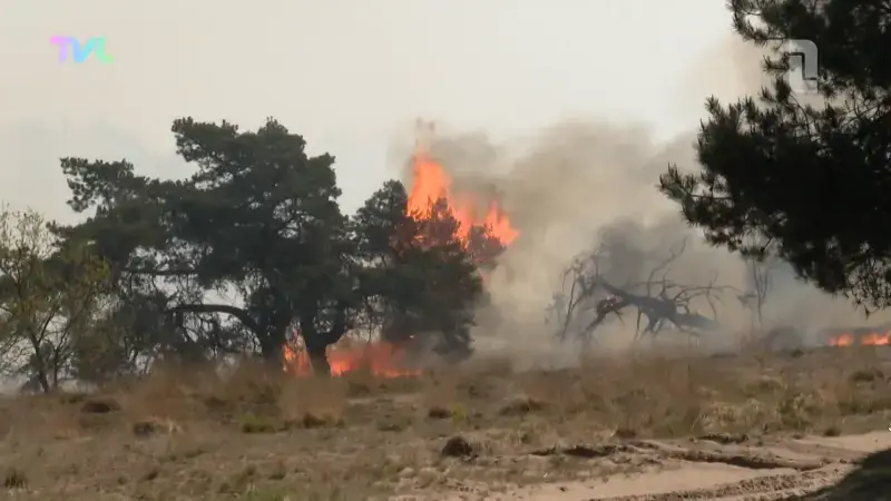 Hoofdafbeelding voor artikel Drie Limburgse brandweerzones…