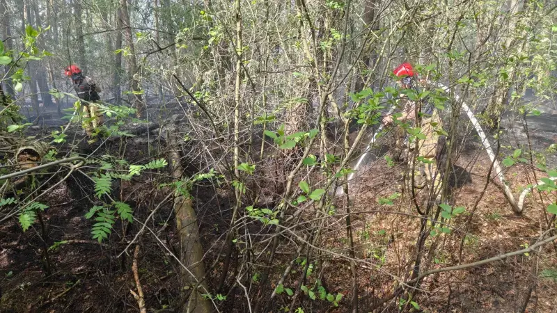 Hoofdafbeelding voor artikel Brand op militair domein onder…