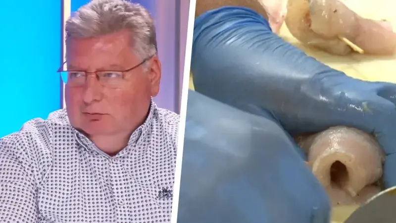 Hoofdafbeelding voor artikel Cretskens breidt gevogelte-aanbod…