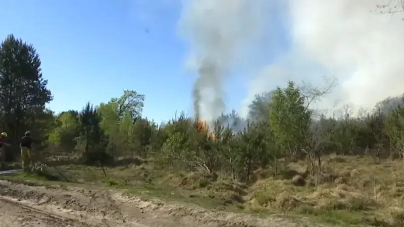 Hoofdafbeelding voor artikel Natuurbrand op militair domein…