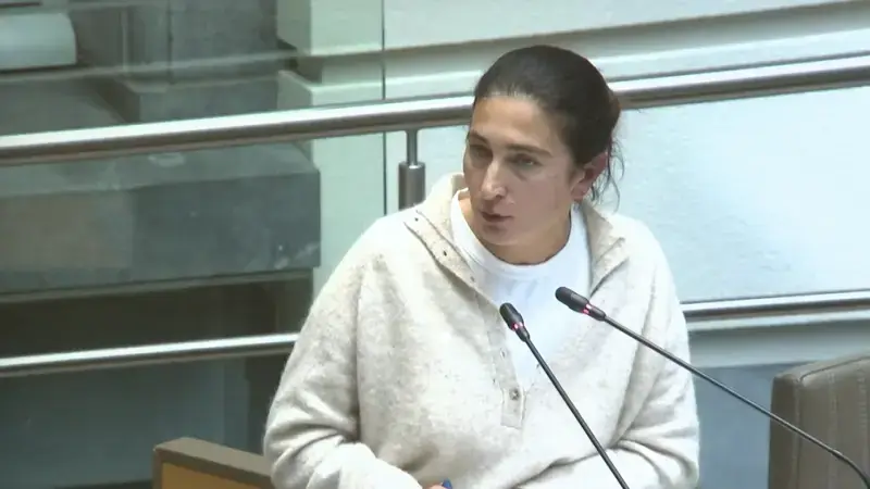 Hoofdafbeelding voor artikel Zuhal Demir (N-VA) na de kritiek:…