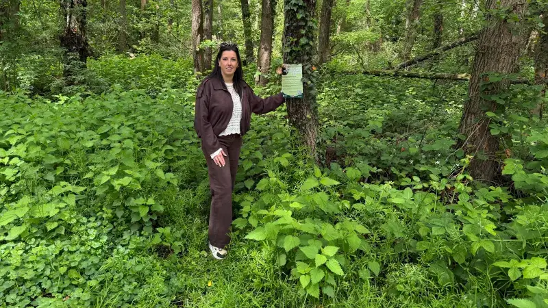 Hoofdafbeelding voor artikel Bever stuurt natuurbeheer…