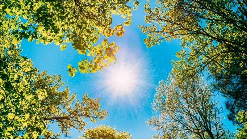 Hoofdafbeelding voor artikel Halen we vandaag 30 graden,…