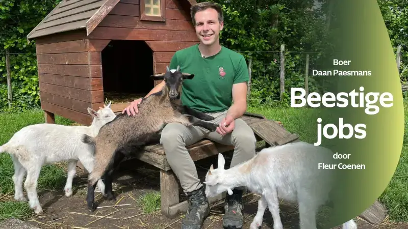 Boer Daan wil kinderen tonen waar hun eten vandaan komt