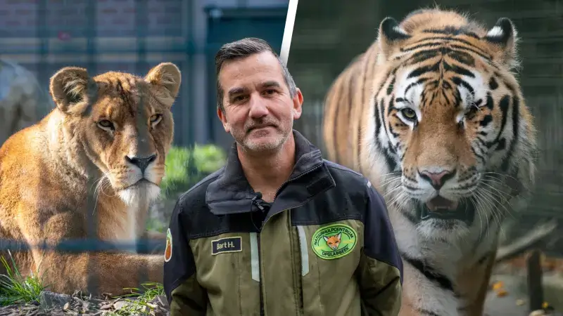 Hoofdafbeelding voor artikel 50 jaar Natuurhulpcentrum…