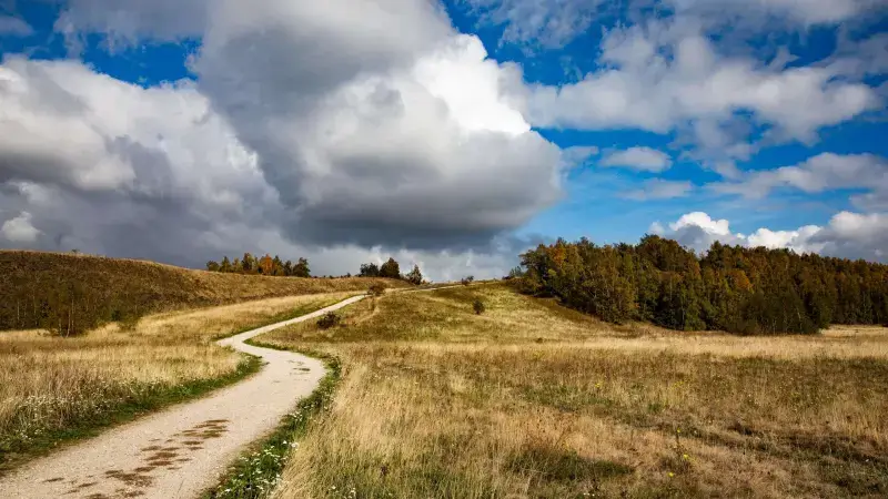 Hoofdafbeelding voor artikel BE-Alert voor Limburg door…