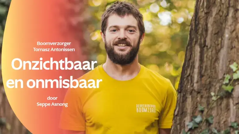 Hoofdafbeelding voor artikel Boomverzorger klimt uit de…