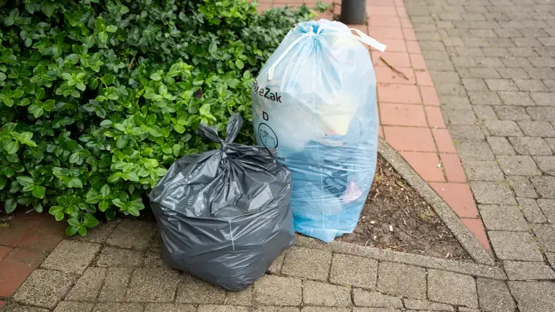 Hoofdafbeelding voor artikel Hitte zorgt voor uitstel van…