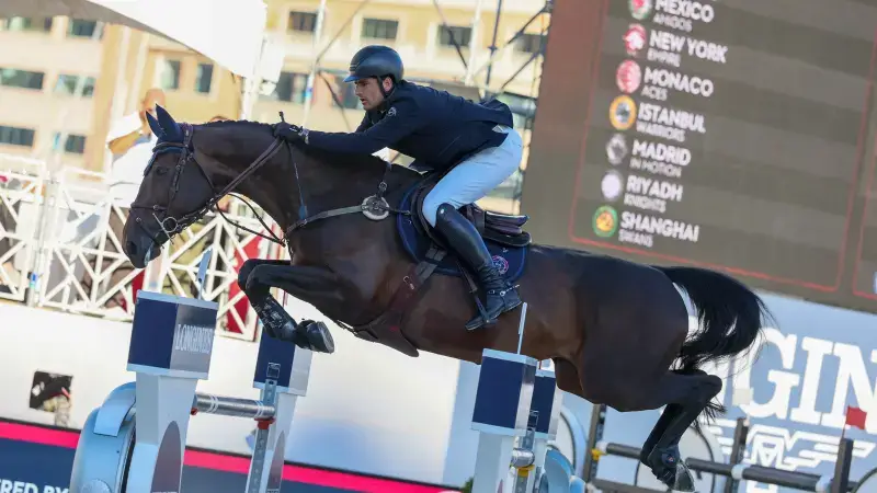 Hoofdafbeelding voor artikel Philippaerts-broers scoren…