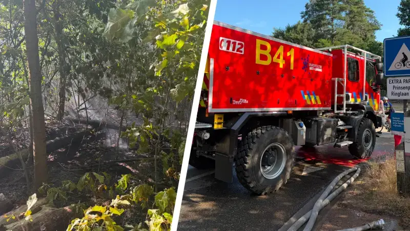 Hoofdafbeelding voor artikel 8 hectare bos in vlammen op…