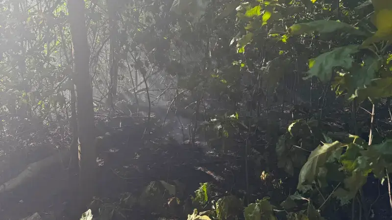 Hoofdafbeelding voor artikel Brand flakkert opnieuw op…