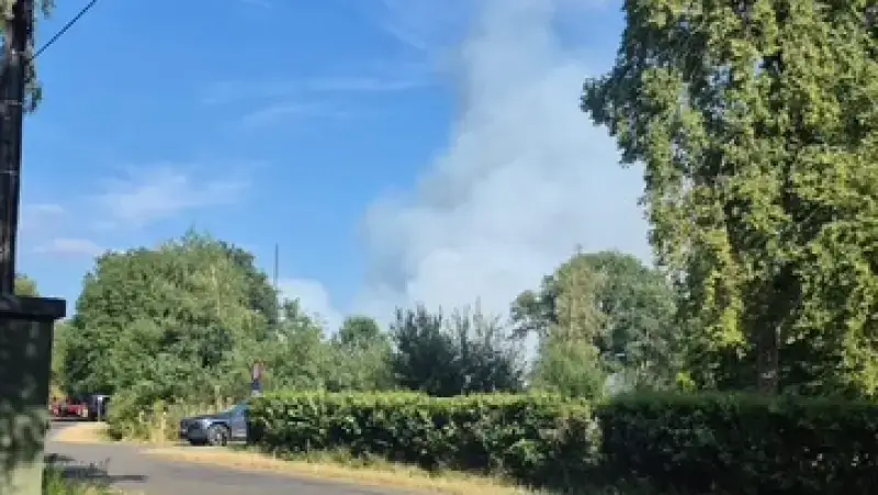 Hoofdafbeelding voor artikel Natuurbrand in Beringen: 11…