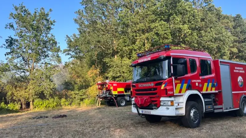 Natuurbrand in Beringen: 11 tankwagens ingezet