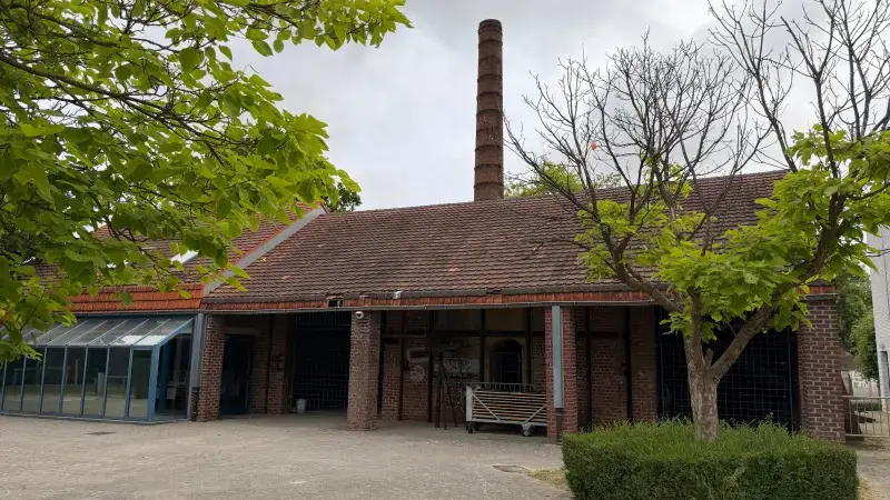Hoofdafbeelding voor artikel Stad Halen is op zoek naar…