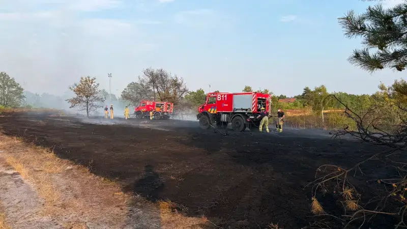 Hoofdafbeelding voor artikel Natuurbrand legt twee hectare…