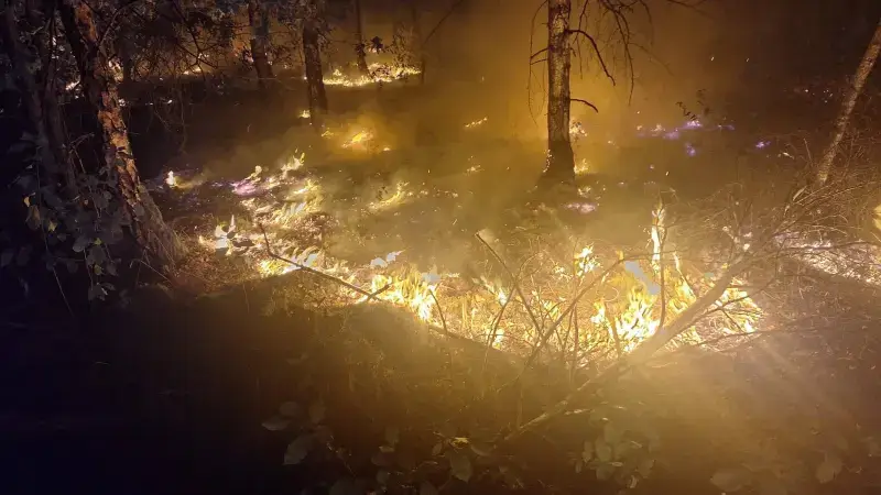 Natuurbrand in Nederlands-Limburg breidt razendsnel uit: al 100 hectare in vlammen op