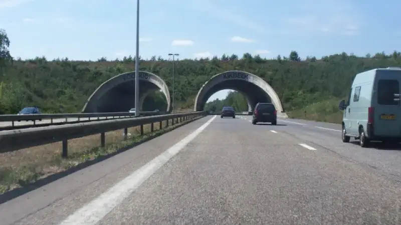 Hoofdafbeelding voor artikel Werken aan E314 in Maasmechelen…