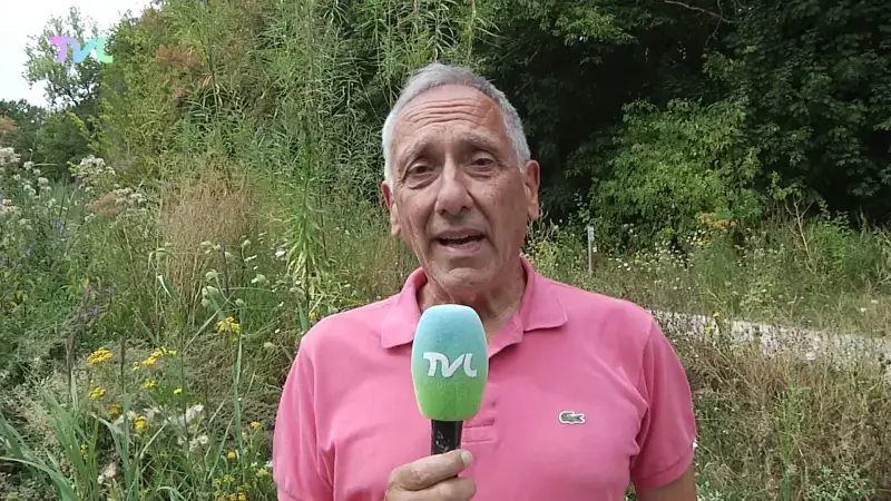 Hoofdafbeelding voor artikel Heetste zomer ooit? "Deze…
