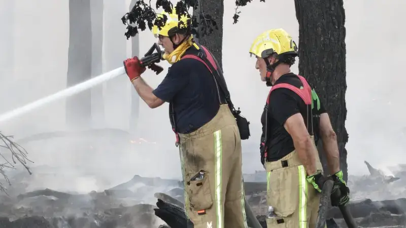 Hoofdafbeelding voor artikel Korte maar felle bosbrand…